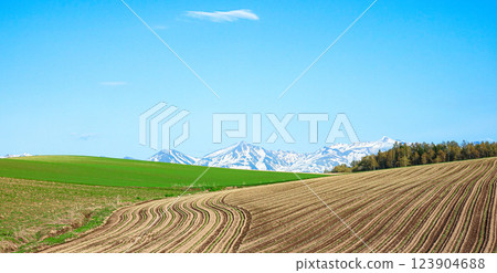 A typical spring scene in Hokkaido with blue skies and vast fields 123904688