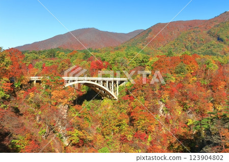[Miyagi Prefecture] Autumn leaves at Naruko Gorge on a clear day 123904802