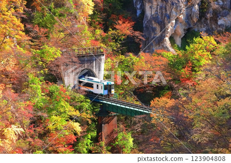 [Miyagi Prefecture] Autumn leaves train crossing Naruko Gorge 123904808