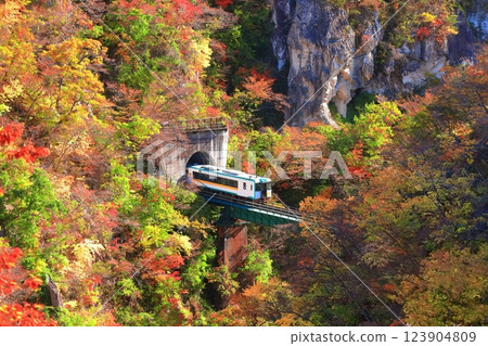 [宮城縣]紅葉列車穿越鳴子峽 123904809