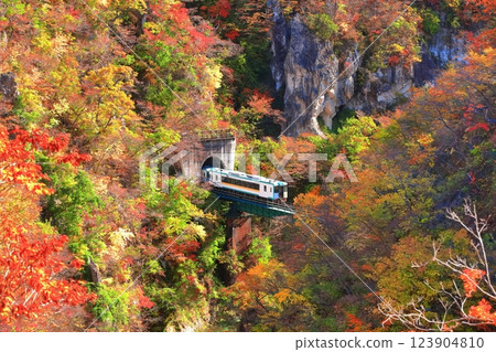 [宮城縣]紅葉列車穿越鳴子峽 123904810