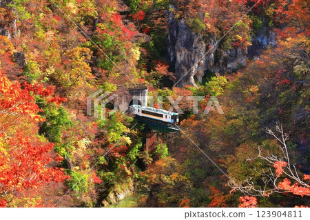 [宮城縣]紅葉列車穿越鳴子峽 123904811