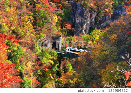 [Miyagi Prefecture] Autumn leaves train crossing Naruko Gorge 123904812