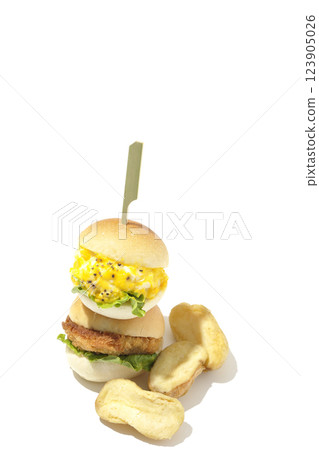 白色背景下拍攝的雞蛋和炸丸子迷你漢堡和薯條 123905026