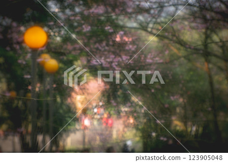 櫻花 123905048
