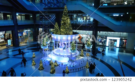 Christmas tree  123905242