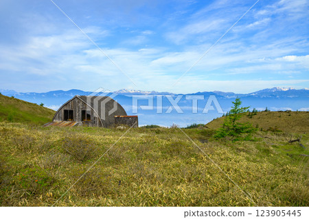 從八伏山眺望北阿爾卑斯山 [6月] 123905445