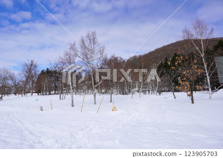 冬天的岩見澤公園被雪埋沒 冬天的岩見澤公園被雪埋沒 123905703