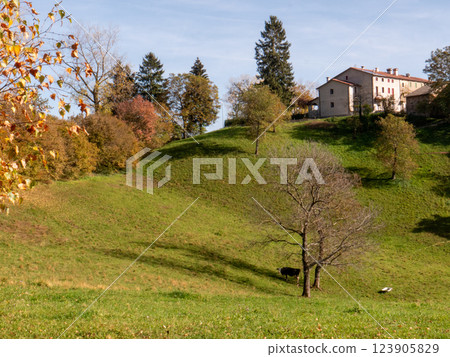 A peaceful forest path winding through the Lessini Mountains Durlo, Veneto 123905829