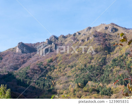 A peaceful forest path winding through the Lessini Mountains Durlo, Veneto 123905831