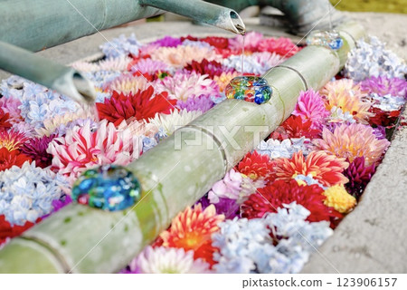 岡寺夏季花水淨化 123906157