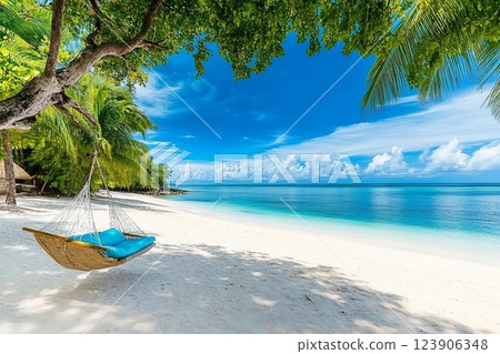 Beautiful beach with palm trees and moody sky. Summer vacation travel holiday background concept. Maldives paradise beach. Luxury travel summer holiday background concept. Beautiful beach with palm trees and moody sky. Summer vacation travel holiday background concept. Maldives paradise beach. Luxury travel summer holiday background concept. 123906348