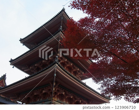 古都京都的秋天 123906710