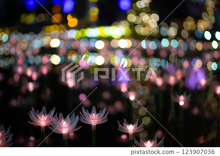 彩燈花 彩燈花 123907036
