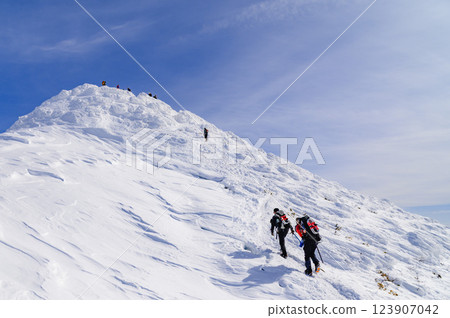 谷川岳（群馬縣境山脊步道）的晴空與雪景 123907042