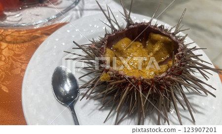 Sea urchin sashimi, raw sea urchin, fresh seafood Sea urchin sashimi, raw sea urchin, fresh seafood 123907201
