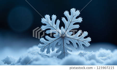 Snowflake resting delicately on fresh snow during a calm winter night in a serene landscape 123907215