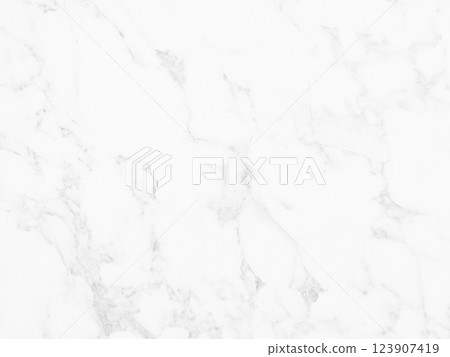 White Marble Wall for Background.. 123907419