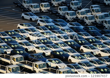 等待出口/進口的汽車（特斯拉、電動車） 123907437