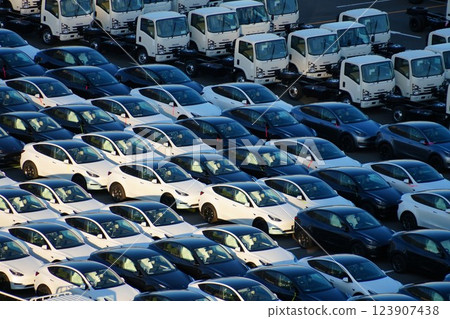 Cars waiting to be exported/imported (Tesla, electric cars) Cars waiting to be exported/imported (Tesla, electric cars) 123907438