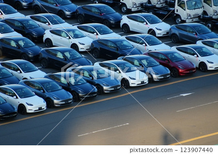 Cars waiting to be exported/imported (Tesla, electric cars) Cars waiting to be exported/imported (Tesla, electric cars) 123907440
