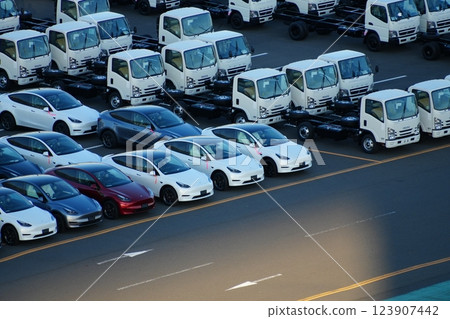 等待出口/進口的汽車（特斯拉、電動車） 123907442