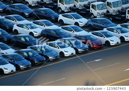 Cars waiting to be exported/imported (Tesla, electric cars) Cars waiting to be exported/imported (Tesla, electric cars) 123907443