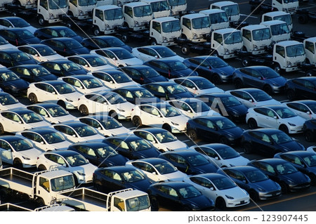 Cars waiting to be exported/imported (Tesla, electric cars) 123907445