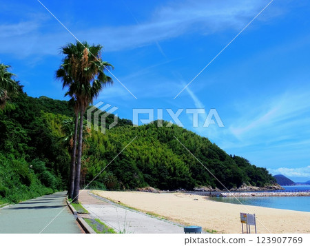 片佐濱海濱公園(山口縣周大島町) 片佐濱海濱公園(山口縣周大島町) 123907769