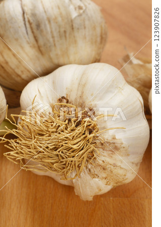Head of garlic 123907826
