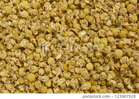 Dried chamomile flowers Dried chamomile flowers 123907828