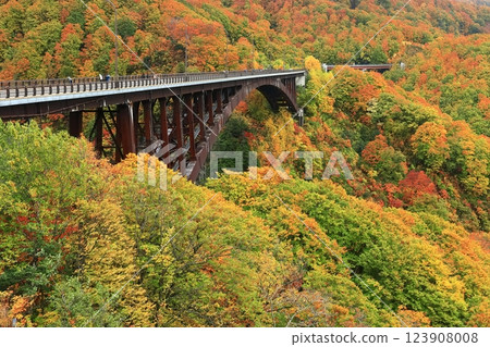 [Aomori Prefecture] Nishiki Autumn Castle Kekura Ohashi 123908008