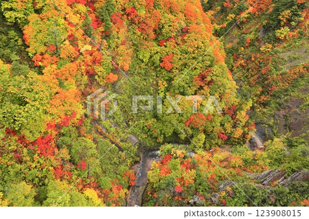 [Aomori Prefecture] Nishiki-Aki Jogakura Stream 123908015