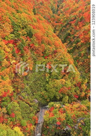 [Aomori Prefecture] Nishiki-Aki Jogakura Stream 123908019