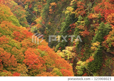 [Aomori Prefecture] Nishiki-Aki Jogakura Stream 123908023