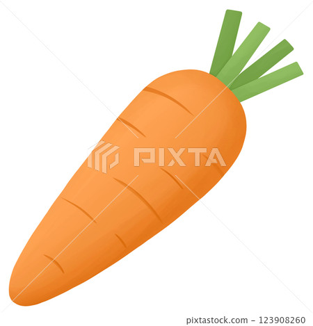 Carrot vegetable food illustration 123908260
