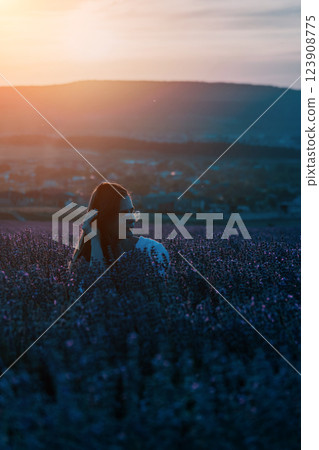 Woman in Lavender Field at Sunset 123908775