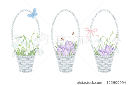 Baskets with spring flowers. Hand drawn watercolor illustration set with snowdrops, crocuses, butterfly, honeybee. Design elements for wedding invitations and postcards. Baskets with spring flowers. Hand drawn watercolor illustration set with snowdrops, crocuses, butterfly, honeybee. Design elements for wedding invitations and postcards. 123909994