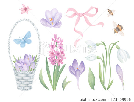 Spring flowers set with wicker basket, pink ribbon and garden insects. Hand drawn collection of crocuses, snowdrops, hyacinth and green leaves isolated on white. Floral clipart for postcard design and Spring flowers set with wicker basket, pink ribbon and garden insects. Hand drawn collection of crocuses, snowdrops, hyacinth and green leaves isolated on white. Floral clipart for postcard design and 123909996