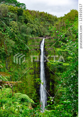 High Akaka waterfall in the rainforest jungles in Hawaii island. 123910517