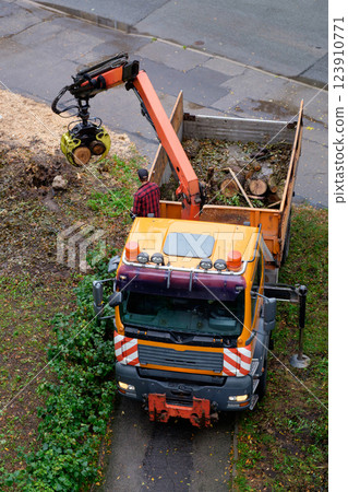 Specialized Removal Truck Clearing Fallen Tree Debris 123910771