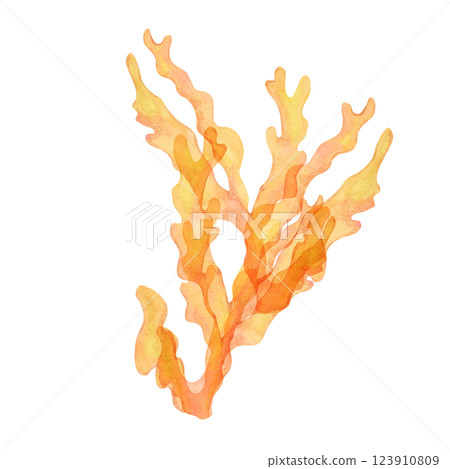 Yellow-orange watercolor coral clipart with intricate branching. Gold, fire coral ideal for coral reef scenes, hand drawn isolated sea life illustration enhances underwater designs, packaging 123910809