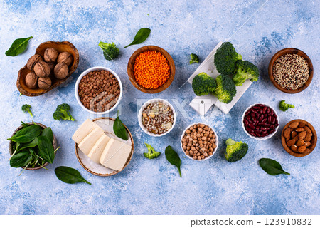 Asortment of plant based vegan protein products 123910832