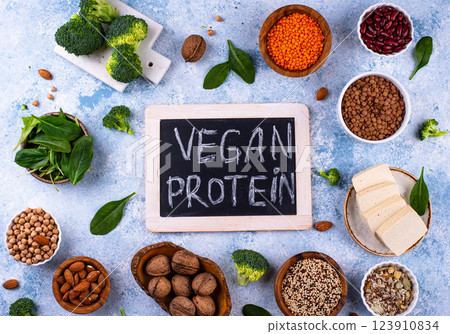 Asortment of plant based vegan protein products Asortment of plant based vegan protein products 123910834