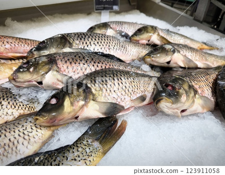 Fresh carp fish in the store. Raw fish on the ice. Fresh chilled carp at the fish market. River fish closeup. 123911058