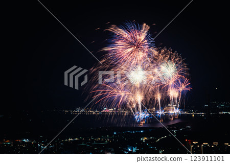Fireworks 123911101