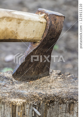 Ax stuck in the stump Ax stuck in the stump 123911110