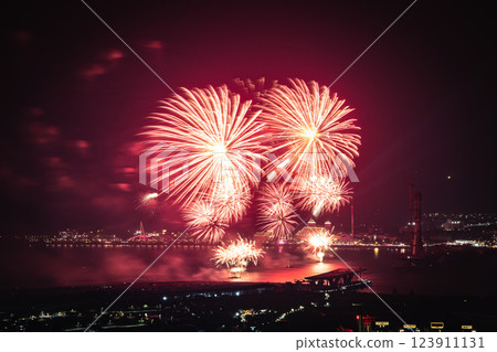 煙火 煙火 123911131