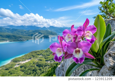 Purple orchids growing on a rock overlooking a beautiful bay in Coron, Palawan 123911209