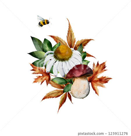 Composition of mushrooms, chamomile flowers, green and dry leaves and bumblebee. Watercolor illustration. Hand drawn illustration isolated on white background. For cards, textiles, design 123911276